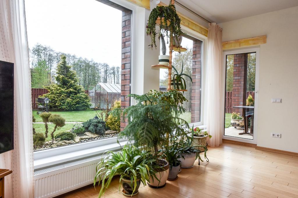 פלאנגה Apartamentai Pluke מראה חיצוני תמונה
